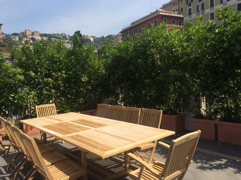 Terrazzo a Genova con alloro e photinia in vaso — realizzazione Peirano Vivai