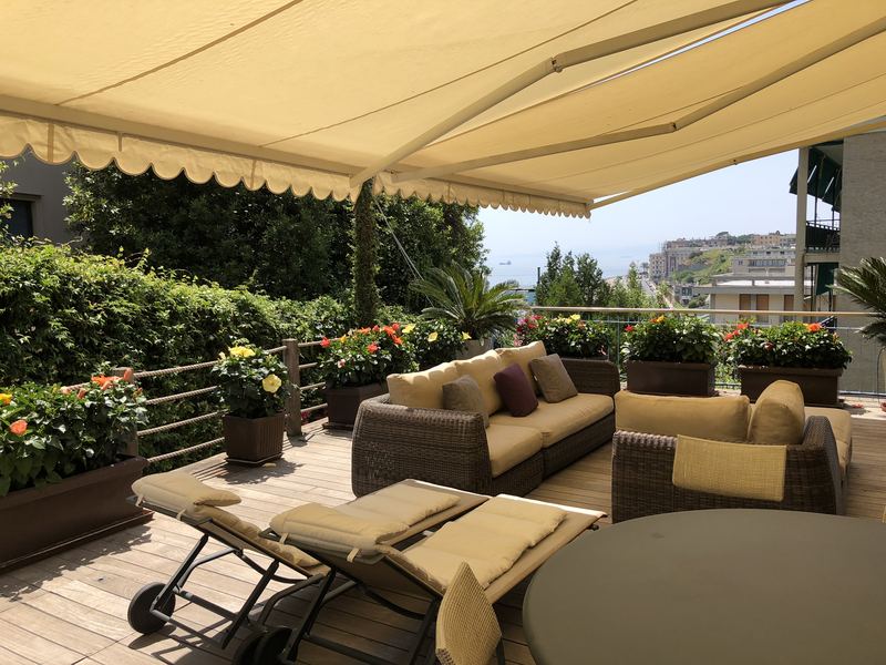 Terrazzo a Genova con cycas in vaso, vista mare — realizzazione Peirano Vivai