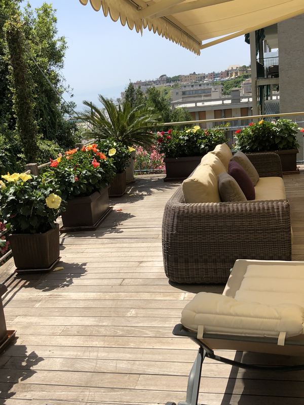 Terrazzo a Genova con malva e palma nana in vaso — realizzazione Peirano Vivai