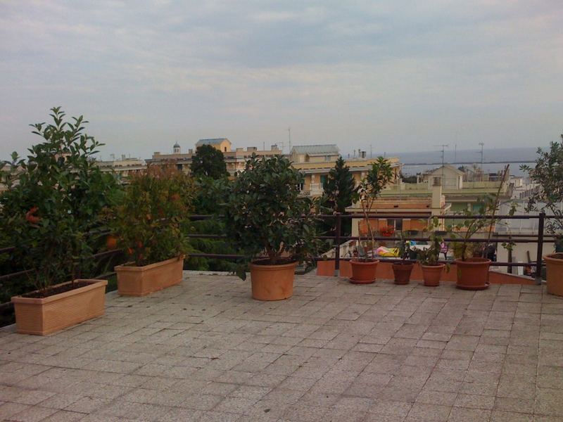 Terrazzo a Genova con melograno, arancio amaro e limone in vaso, vista mare — realizzazione Peirano Vivai