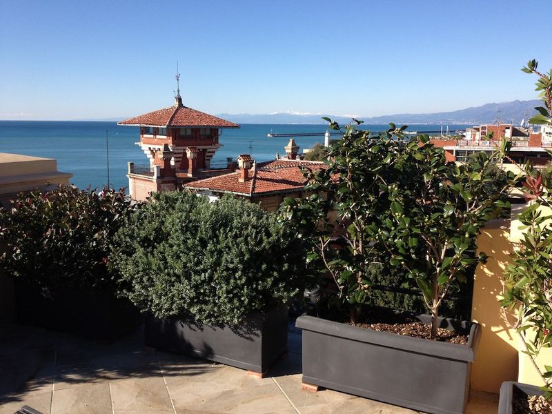 Terrazzo a Genova con leccio, buxus e ficus in vaso, vista mare — realizzazione Peirano Vivai