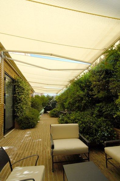 Terrazzo a Genova con buxus e ligustro in vaso — realizzazione Peirano Vivai