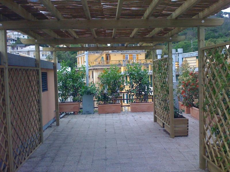 Terrazzo a Genova con arancio amaro e pompelmo in vaso, pergolato — realizzazione Peirano Vivai