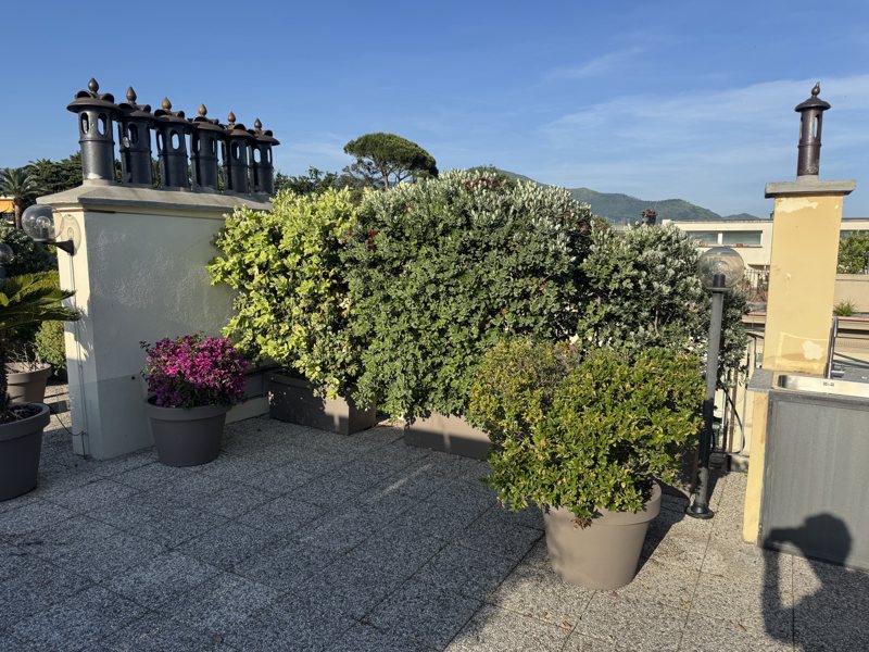 Terrazzo a Genova arredato a verde — realizzazione Peirano Vivai