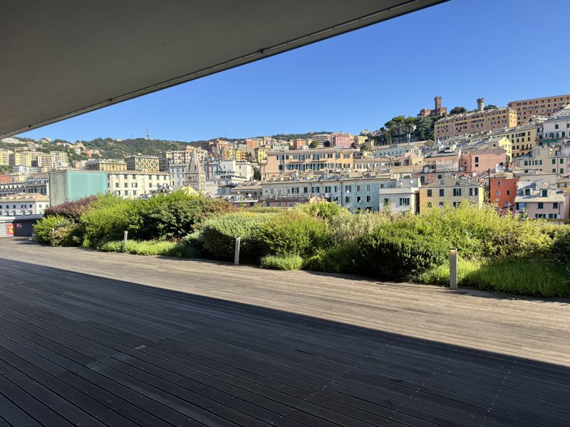Terrazzo a Genova arredato a verde — realizzazione Peirano Vivai